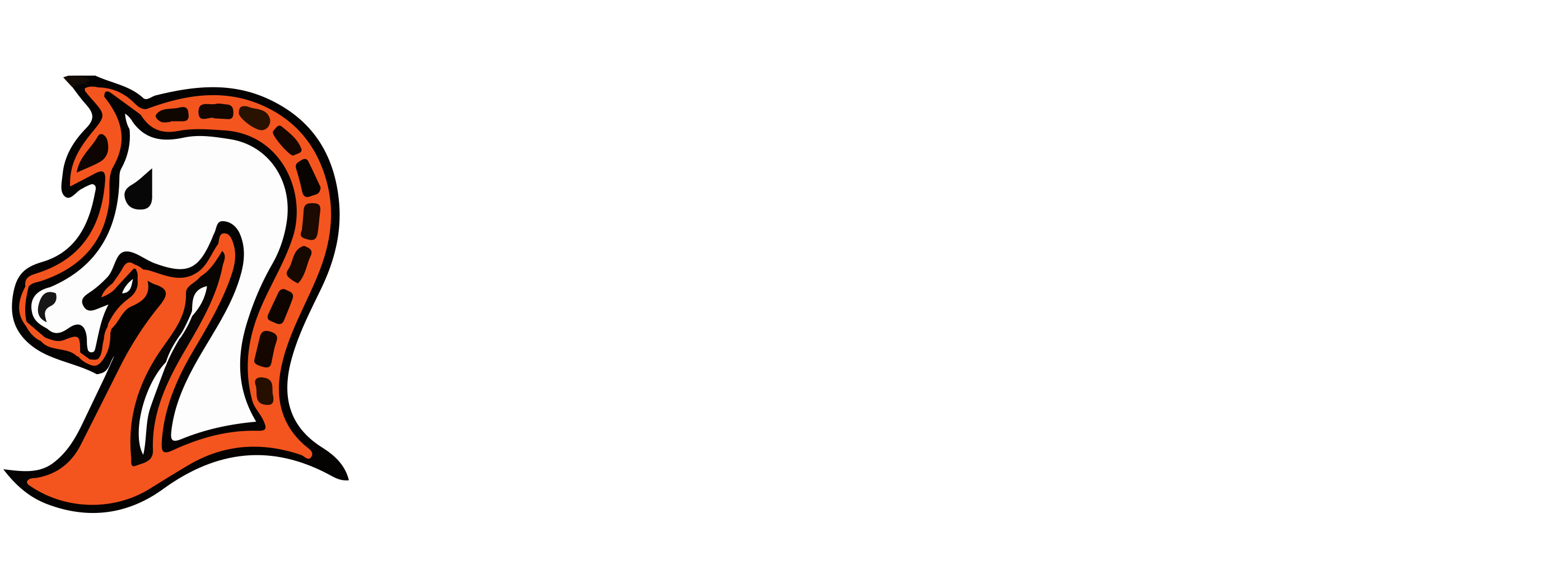 PSD-website-logo-palanv-25-slogan